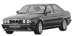 BMW E34 P1447 Fault Code